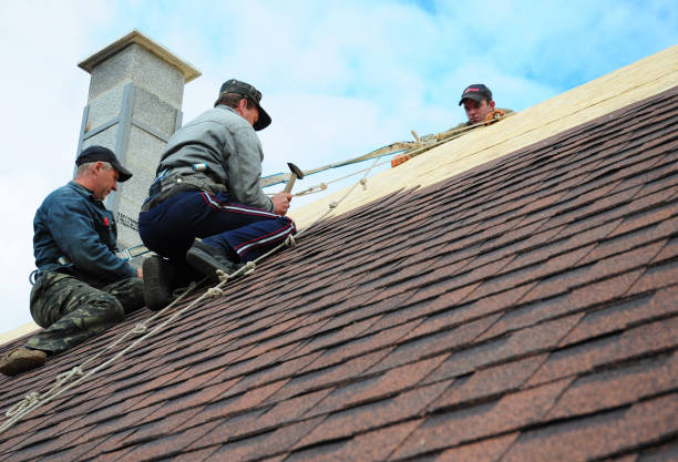 Best Roof Gutter Cleaning  in Marion, IL